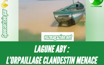 Pollution de la lagune Aby causée par l’orpaillage clandestin