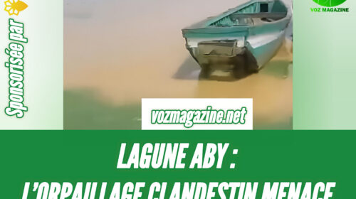 Pollution de la lagune Aby causée par l’orpaillage clandestin