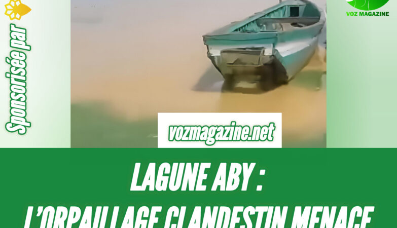 Pollution de la lagune Aby causée par l’orpaillage clandestin